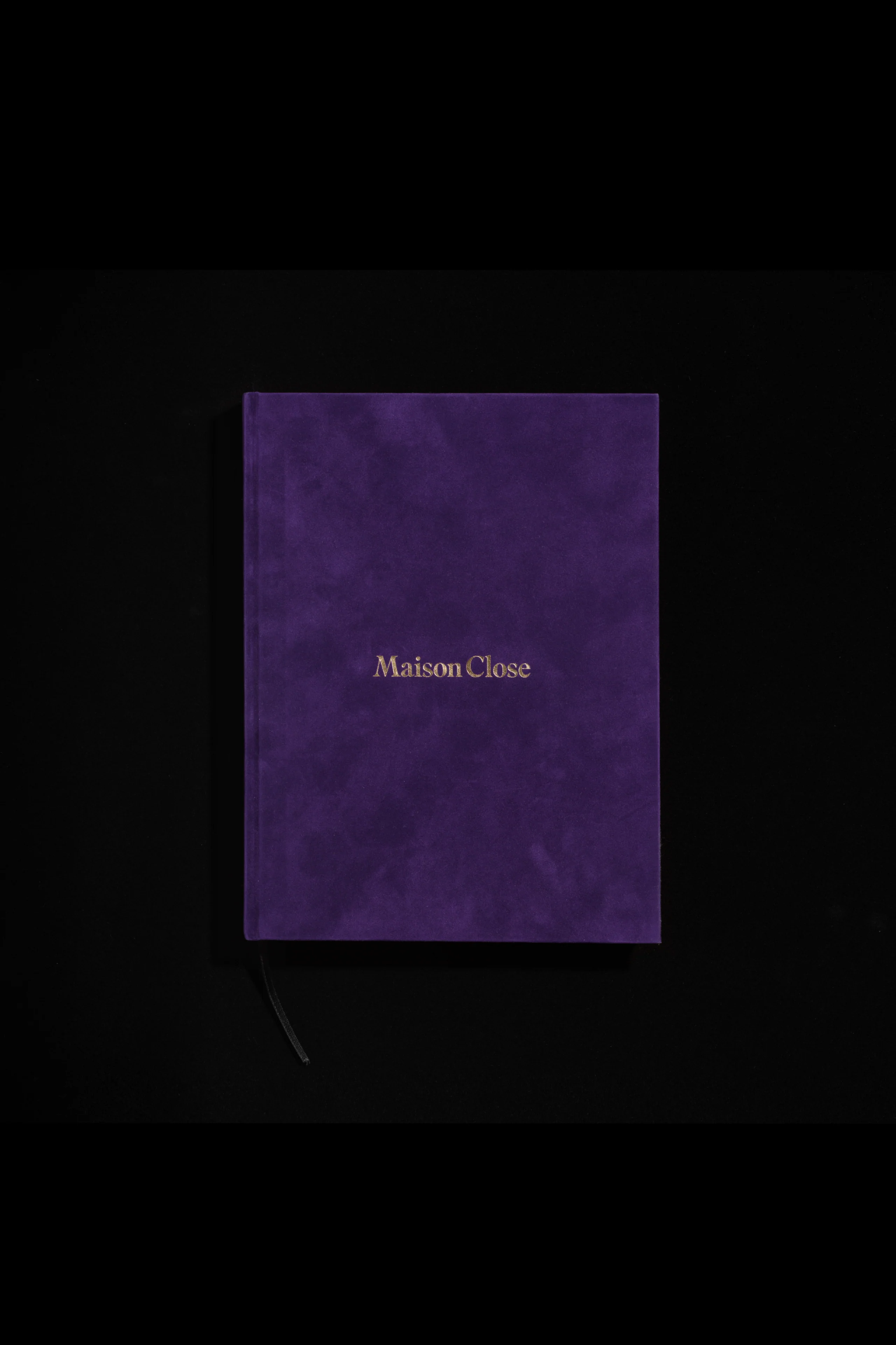 Art photo book - Curiosités Désirables - Image 2