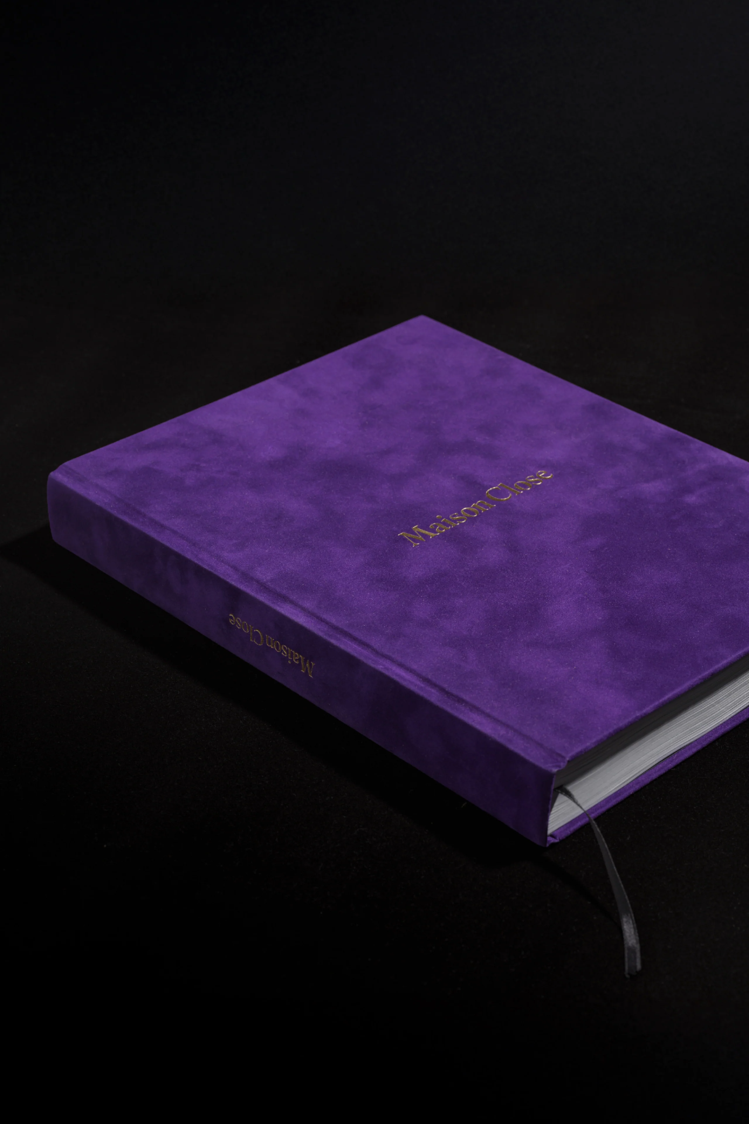 Art photo book - Curiosités Désirables - Image 3