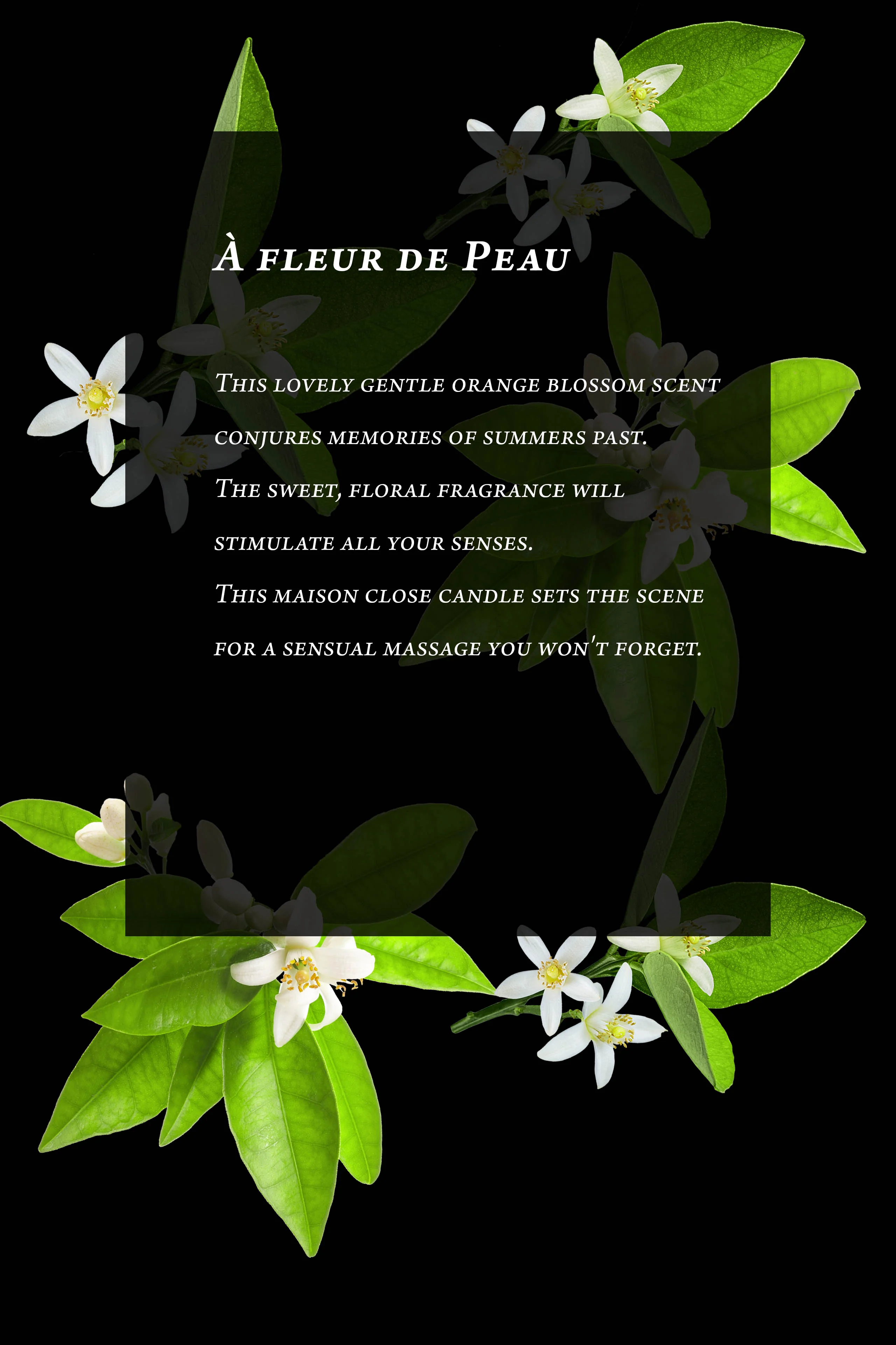 Massage Candle - Orange blossom - À fleur de peau - Image 4